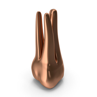 Copper Human Teeth Upper Second Molar PNG & PSD Images