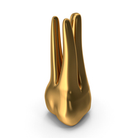 Golden Human Teeth Upper Second Molar PNG & PSD Images