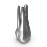 Silver Human Teeth Upper Second Molar PNG & PSD Images