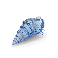 Sea Shell Glass PNG & PSD Images