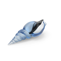 Sea Shell Glass PNG & PSD Images