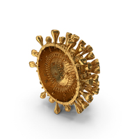 Golden Novel Coronavirus Cross Section PNG & PSD Images