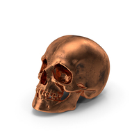 Copper Skull PNG & PSD Images
