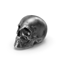 Tin Skull PNG & PSD Images