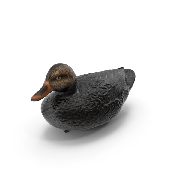 Black Duck Decoy PNG & PSD Images