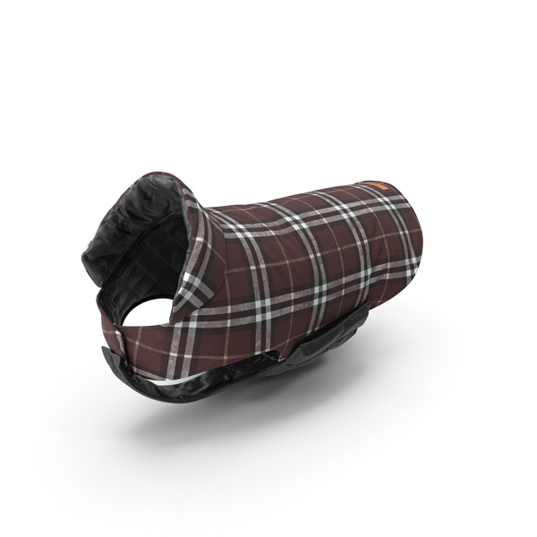 Brown Dog Coat PNG & PSD Images
