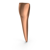 Copper Human Teeth Lower Central Incisor PNG & PSD Images