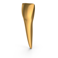 Golden Human Teeth Lower Central Incisor PNG & PSD Images