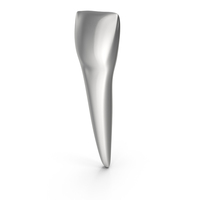 Silver Human Teeth Lower Central Incisor PNG & PSD Images