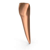 Copper Human Teeth Lower Lateral Incisor PNG & PSD Images