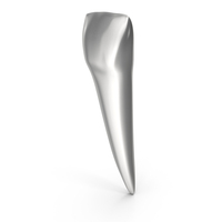 Silver Human Teeth Lower Lateral Incisor PNG & PSD Images