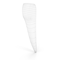 Human Teeth Lower Lateral Incisor Wireframe PNG & PSD Images