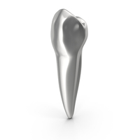Silver Human Teeth Lower First Premolar PNG & PSD Images