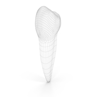 Human Teeth Lower First Premolar Wireframe PNG & PSD Images
