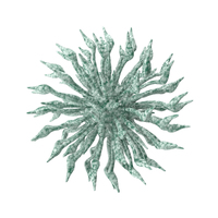 Green Microscopic Object PNG & PSD Images