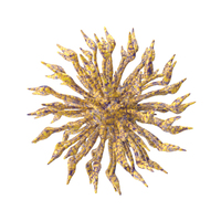 Yellow Microscopic Object PNG & PSD Images