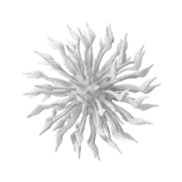 Microscopic Object White PNG & PSD Images