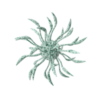Green Microscopic Object PNG & PSD Images