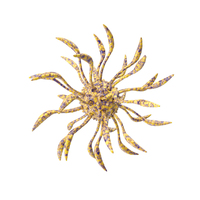 Microorganism Yellow PNG & PSD Images