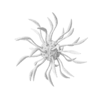 White Microscopic Object PNG & PSD Images