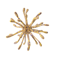 Microscopic Object Yellow PNG & PSD Images