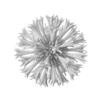 Microscopic Object White PNG & PSD Images