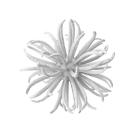 Microscopic Object White PNG & PSD Images