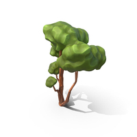 Stylized Tree PNG & PSD Images
