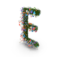 Easter Letter E From Spring Flowers PNG & PSD Images
