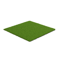 Grass Patch PNG & PSD Images
