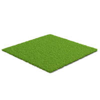 Flat Grass Terrain PNG & PSD Images