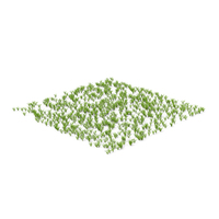 Coarse Flat Grass Terrain PNG & PSD Images