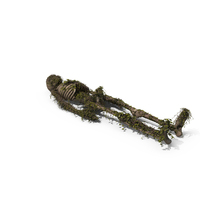 Stone Skeleton With Ivy Vines PNG & PSD Images