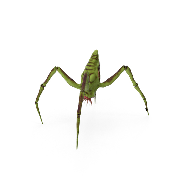Spider Monster Green PNG & PSD Images