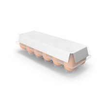 Plastic Carton of Eggs 12 Brown Blank PNG & PSD Images