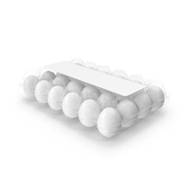 Plastic Carton of Eggs 24 White Blank PNG & PSD Images