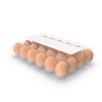 Plastic Carton of Eggs 24 Brown Blank PNG & PSD Images