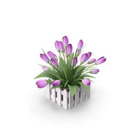 Flowers In Pot PNG & PSD Images
