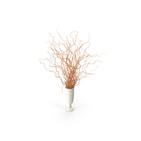 Dried Natural Curly Willow In Porcelain Vase PNG & PSD Images
