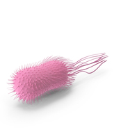 Pink Bacteria PNG & PSD Images