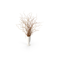 Decorative Dried Brown Curly Willow In White Vase PNG & PSD Images