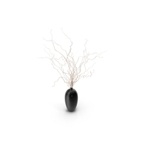 White Curly Willow Branches In Black Vase PNG & PSD Images
