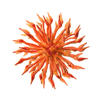 Red Microorganism PNG & PSD Images