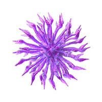 Purple Microorganism PNG & PSD Images
