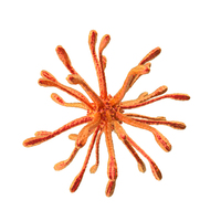 Red Microorganism PNG & PSD Images