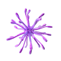 Purple Microorganism PNG & PSD Images