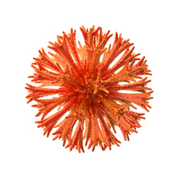 Red Microorganism PNG & PSD Images