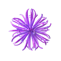 Purple Microorganism PNG & PSD Images