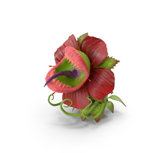 Angry Plant Monster PNG & PSD Images