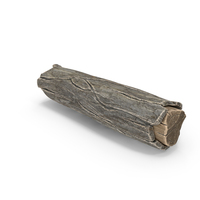 Tree Timber PNG & PSD Images
